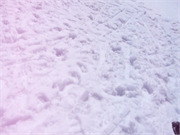 2010-08-21 Brigitte Jungfrau081